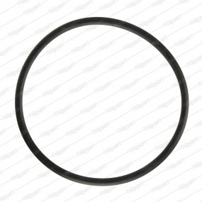 Beko Dishwasher Sump Gasket - 1740050300