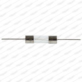 Wire Glass Fuse For PCB - 3A 20mm