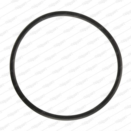 Beko Dishwasher Sump Gasket - 1740050300