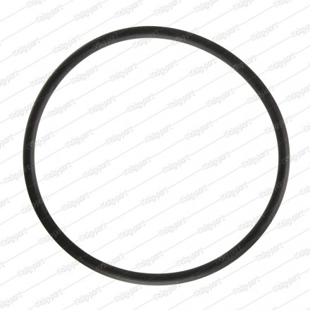 Уплотнительное кольцо поддона Beko - 1740050300